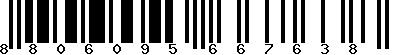 EAN-13 : 8806095667638