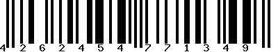 EAN-13 : 4262454771349